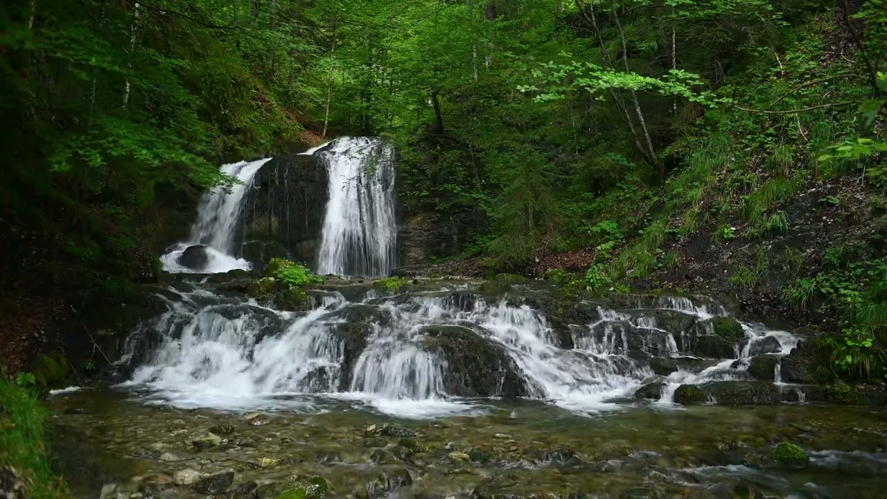 Ethereal Forest Cascade: Serenity Among the Trees - Soothing Water Sounds