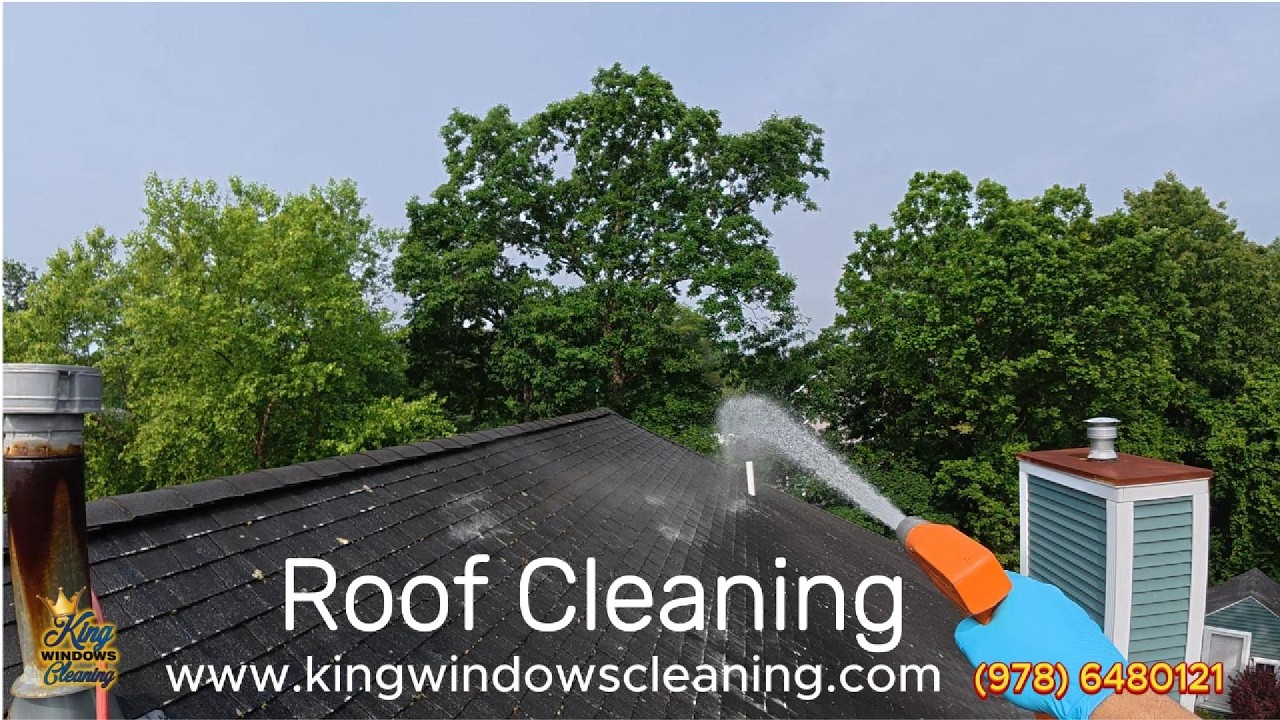 Roof Cleaning 2025