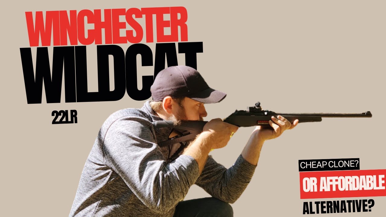 Обзор Winchester Wildcat 22LR
