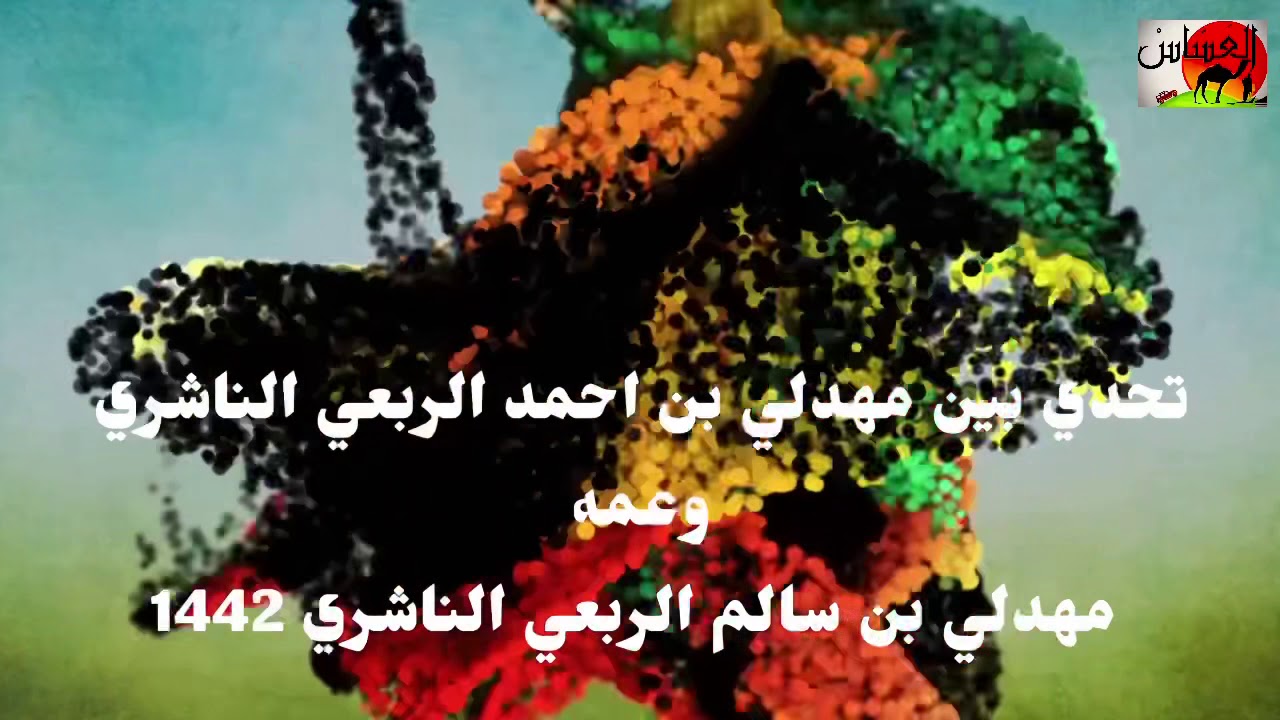 بدا التحدي بين ملاك الإبل السواحل بين مهدلي احمد الربعي وعمه مهدلي سالم الربعي الناشري 1442