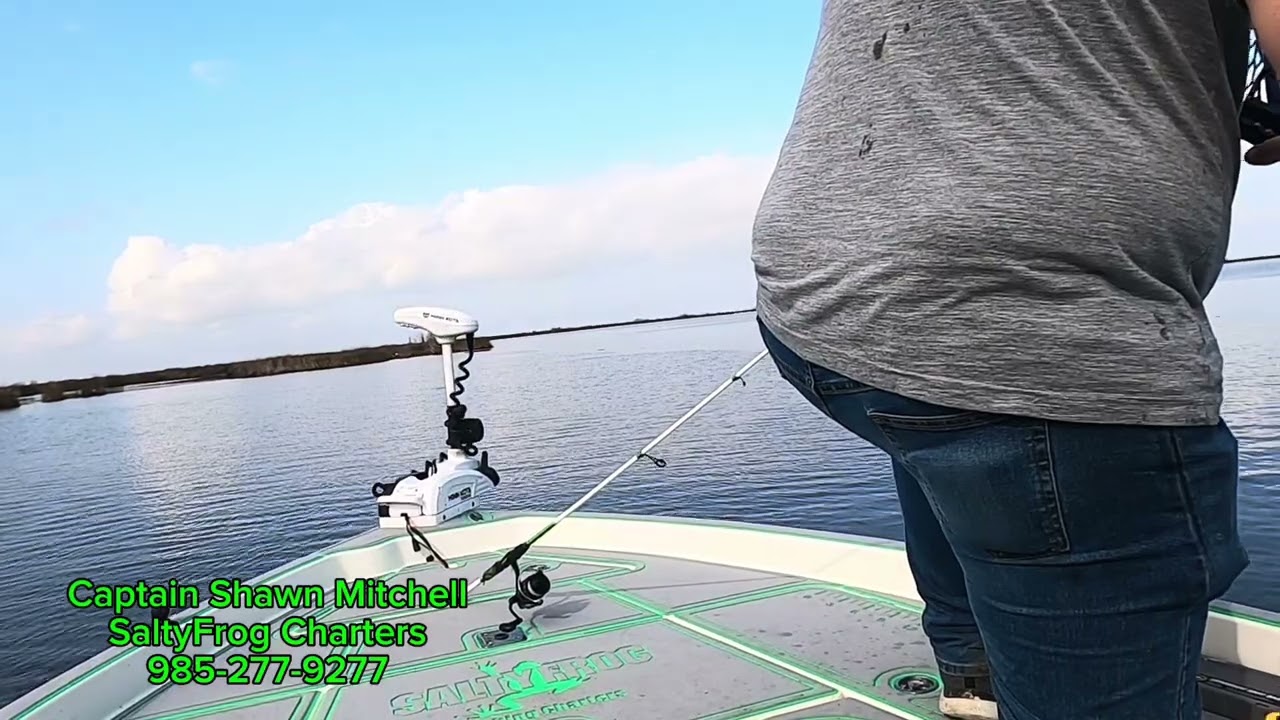 Big trout incoming 
