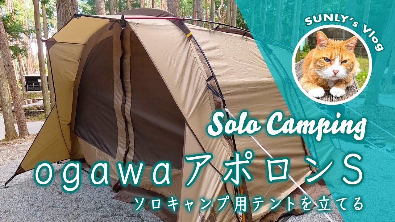 【設営動画】アポロンSに女一人で立ち向かう | ソロキャンプ ogawaテント