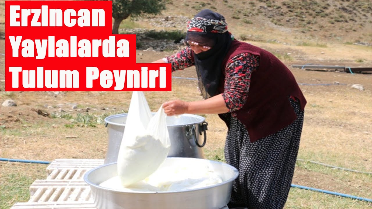 Erzincan Yaylalarda Tulum Peyniri Yapımına Başlandı 6.07.2020 TURKEY