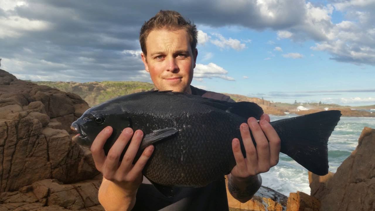 BIG DRUMMER FISHING