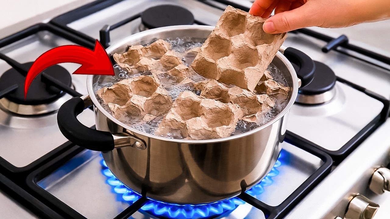 Люди выбрасывают коробки из-под яиц каждый день! Сварите их и удивитесь 😱 | Creation Invention
