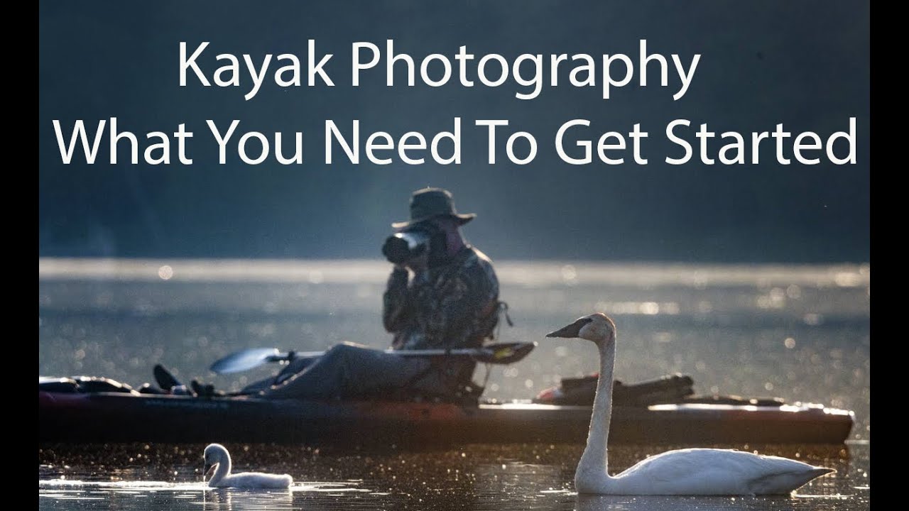 Wildlife Photography From a Kayak - Complete Beginners Guide