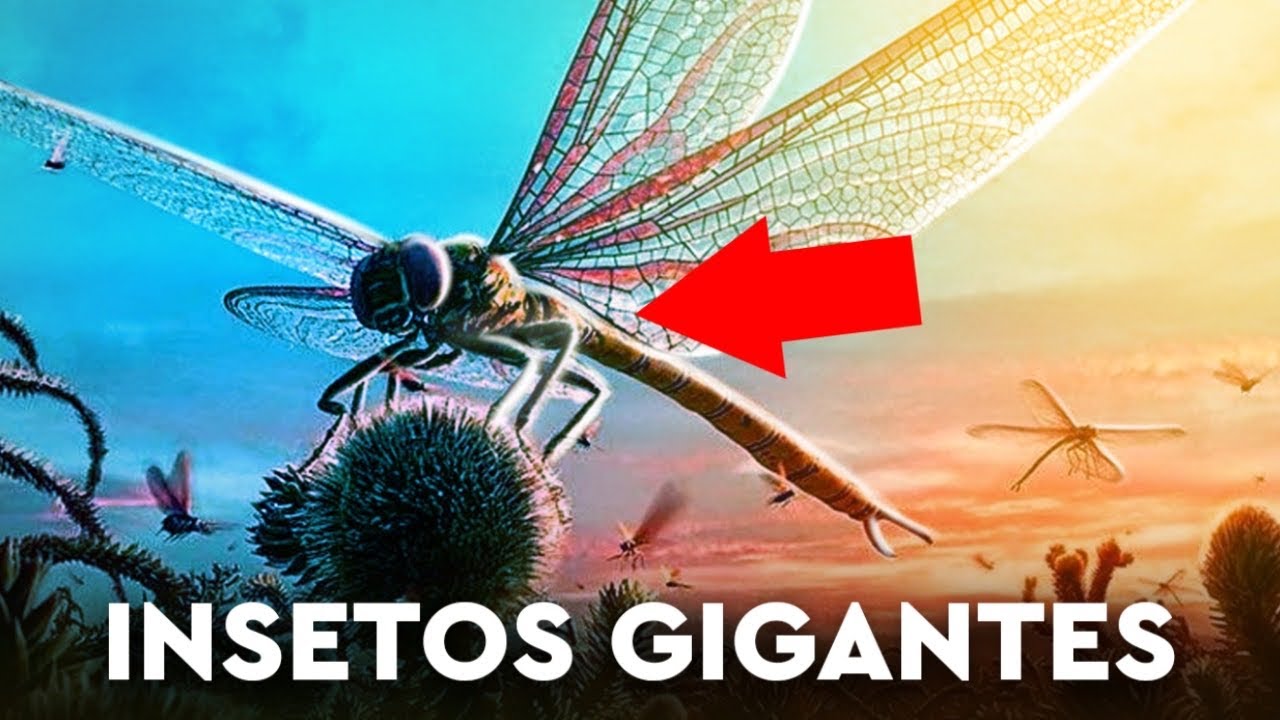 E se a Terra Tivesse MAIS OXIGÊNIO?