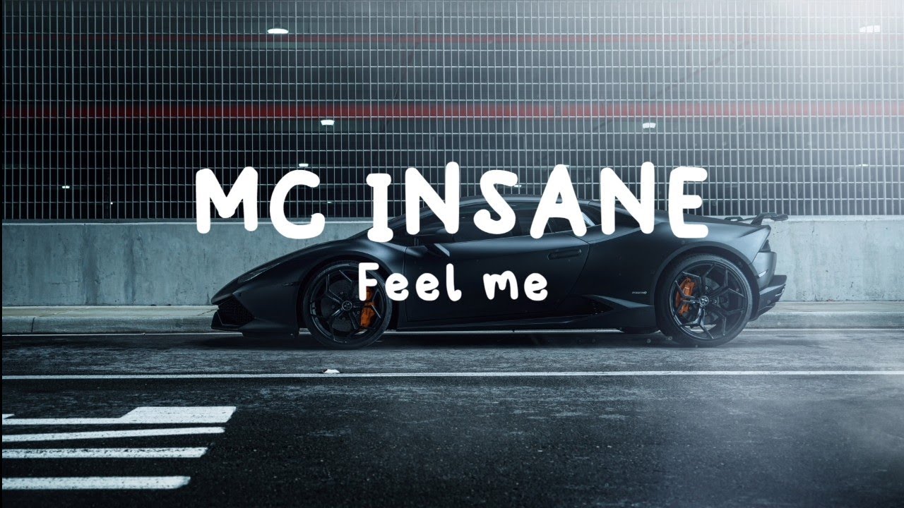 MC INSANE : FEEL ME ( lyrical video )