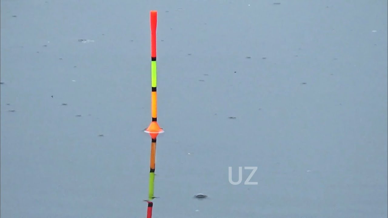 Baru datang langsung panen bikin heran pemancing lain mancing ikan nila