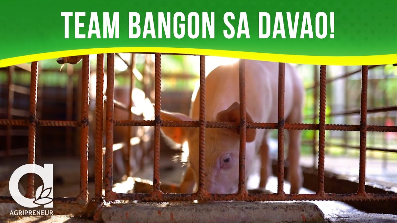 Kwento ng Bangon Raiser mula sa Davao!