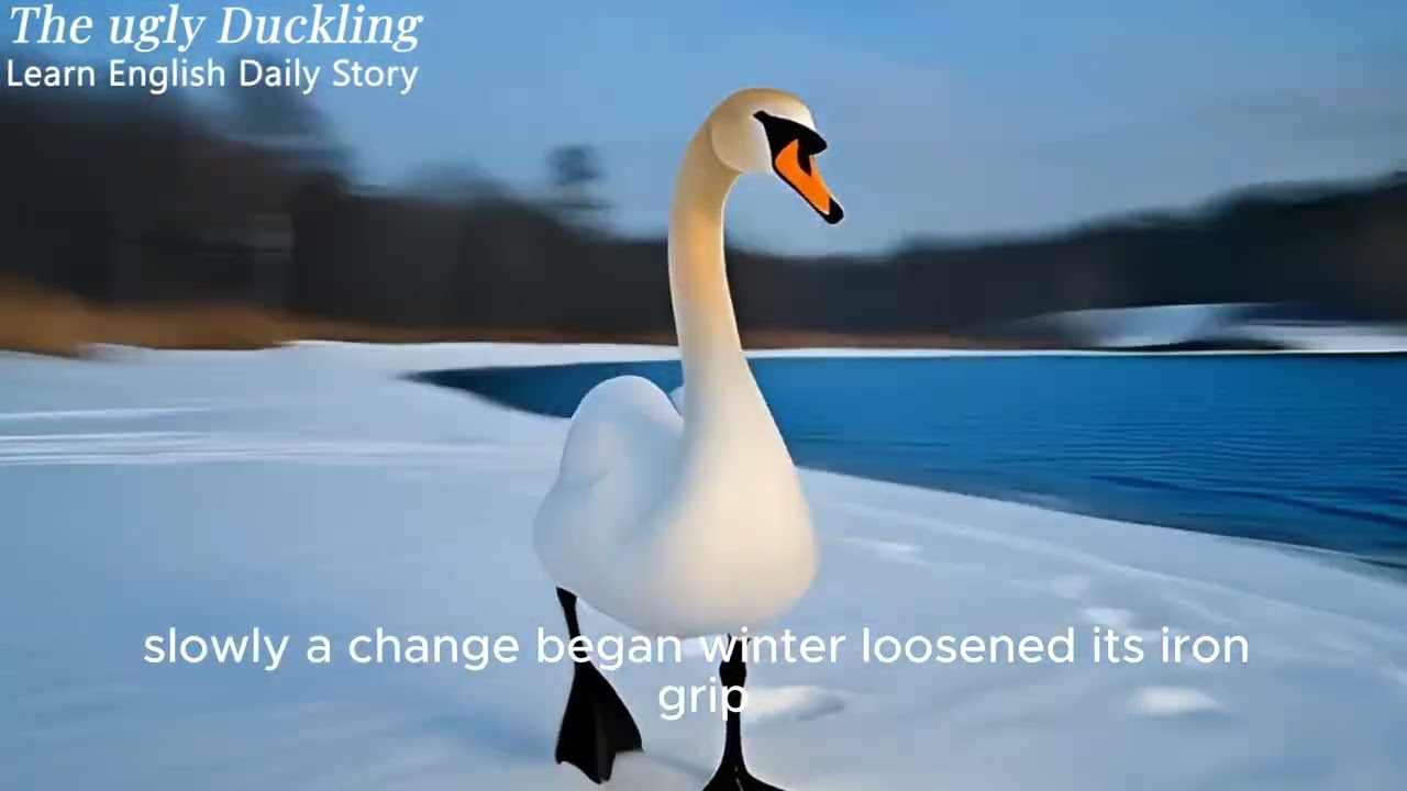 12)The Ugly Duckling 🌿Learn English Through Wisdom, Fun, Zen, Relaxing Stories | Daily English