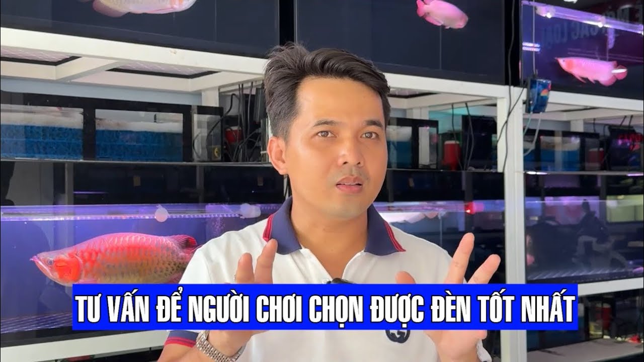 Đèn cho C.Á RỒNG thị trường rất nhìu, muôn hình vạn trạng, vậy làm sao chọn được cây đèn tốt nhất ?