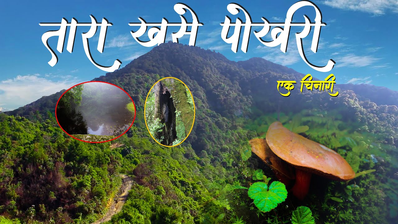 अनुमानै गर्न नसकिने यति माथी डाडामा कहिले नसुक्ने पोखरी हेर्नुस | TaraKhase Pokhari, 2021