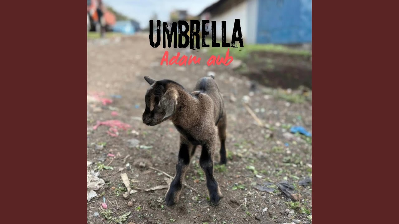 Umbrella