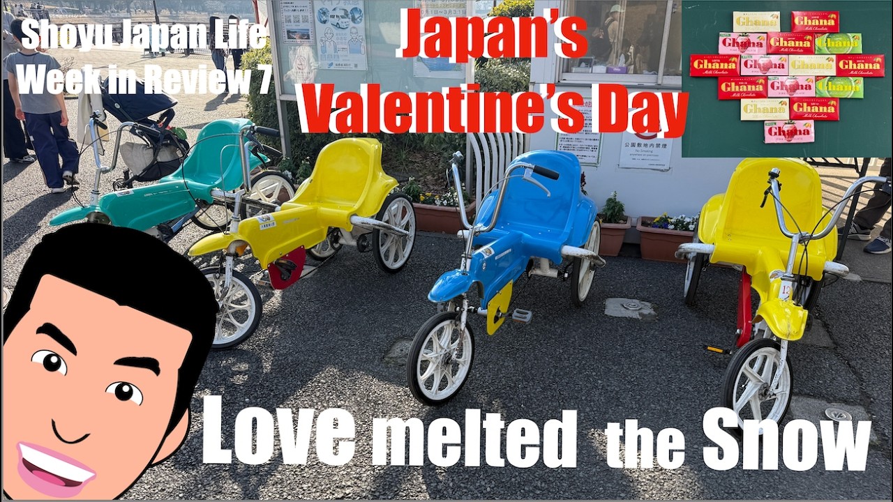 Snow to Sun: Love Melted the Snow