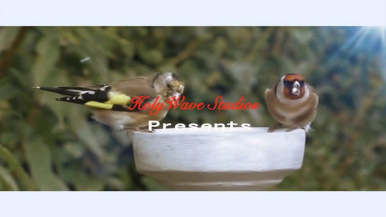 NDINGIRIGANIRWO (OFFICIAL)  by P Jey Kongo. New HD, HQ Video from  HOLYWAVE STUDIOS.