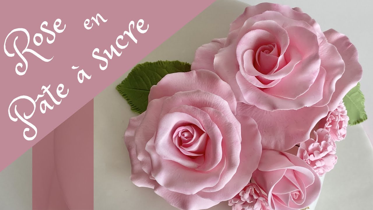Faire une ROSE en PÂTE À SUCRE (gumpaste rose)