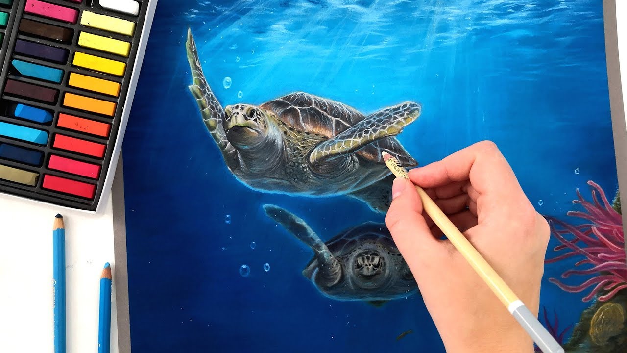 Drawing Sea Turtles with pastels | Wildlife Art