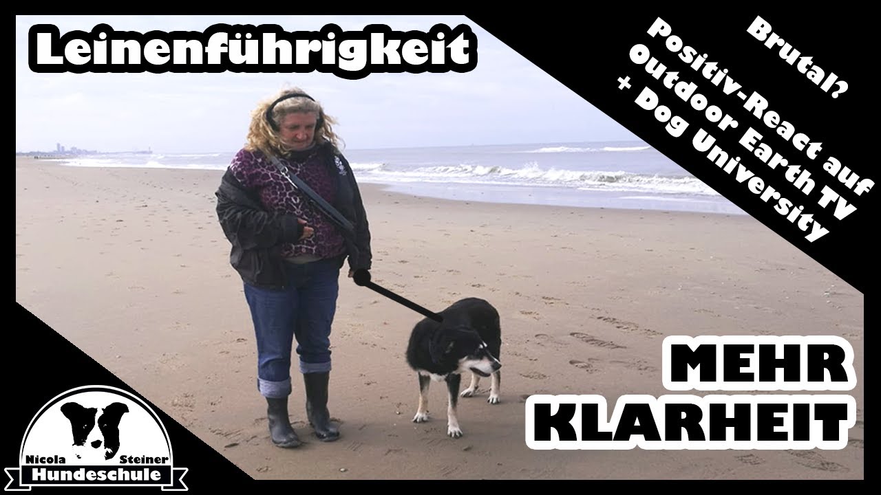 Eure Wunschvideos: React auf Outdoor Earth TV und Dog University - lieber 1 x richtig als nörgeln