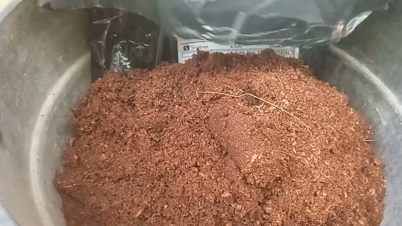 #unboxing