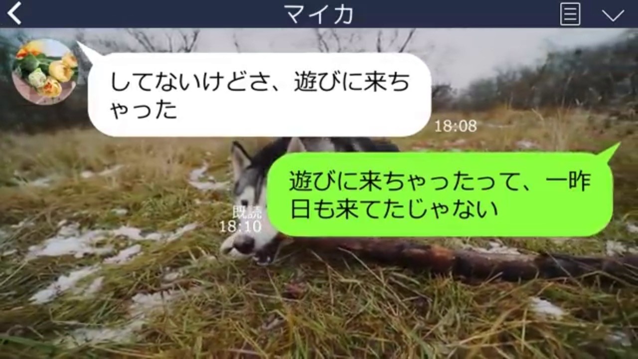 【LINE】夫を略奪した友人から私の子供まで略奪連絡「養育費だけくれたらいいのよｗ」→最低女が夫月収を知った時の反応が笑える…ｗ