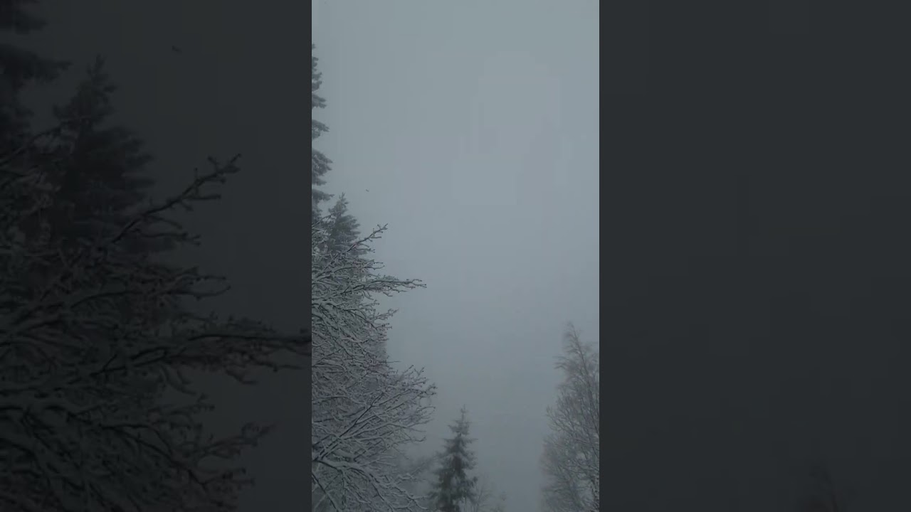 La Floria. Chamonix-Mont-Blanc 