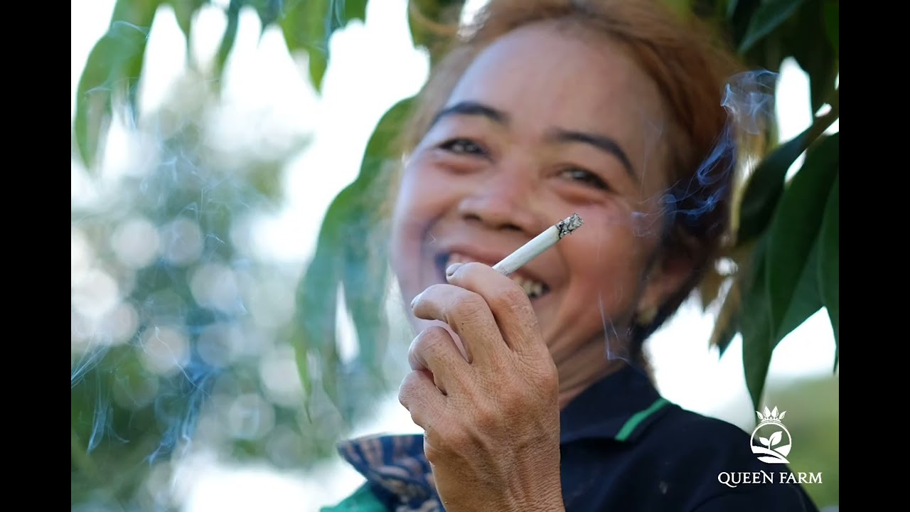 Trên nông trường năm ấy. Queen Farm - Bình Phước 2022
