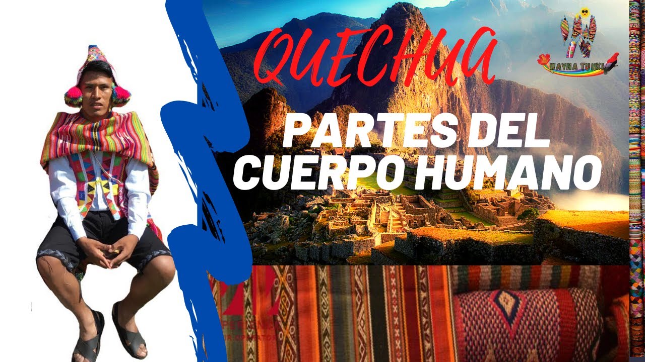 PARTES DEL CUERPO HUMANO EN QUECHUA/Aprende Quechua con Wayna Tunki
