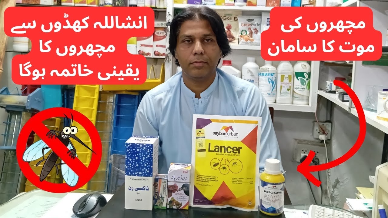 Mosquito Killer | سپرے کریں اور پرندوں کو ڈینگی مچھر سے بچائیں | 