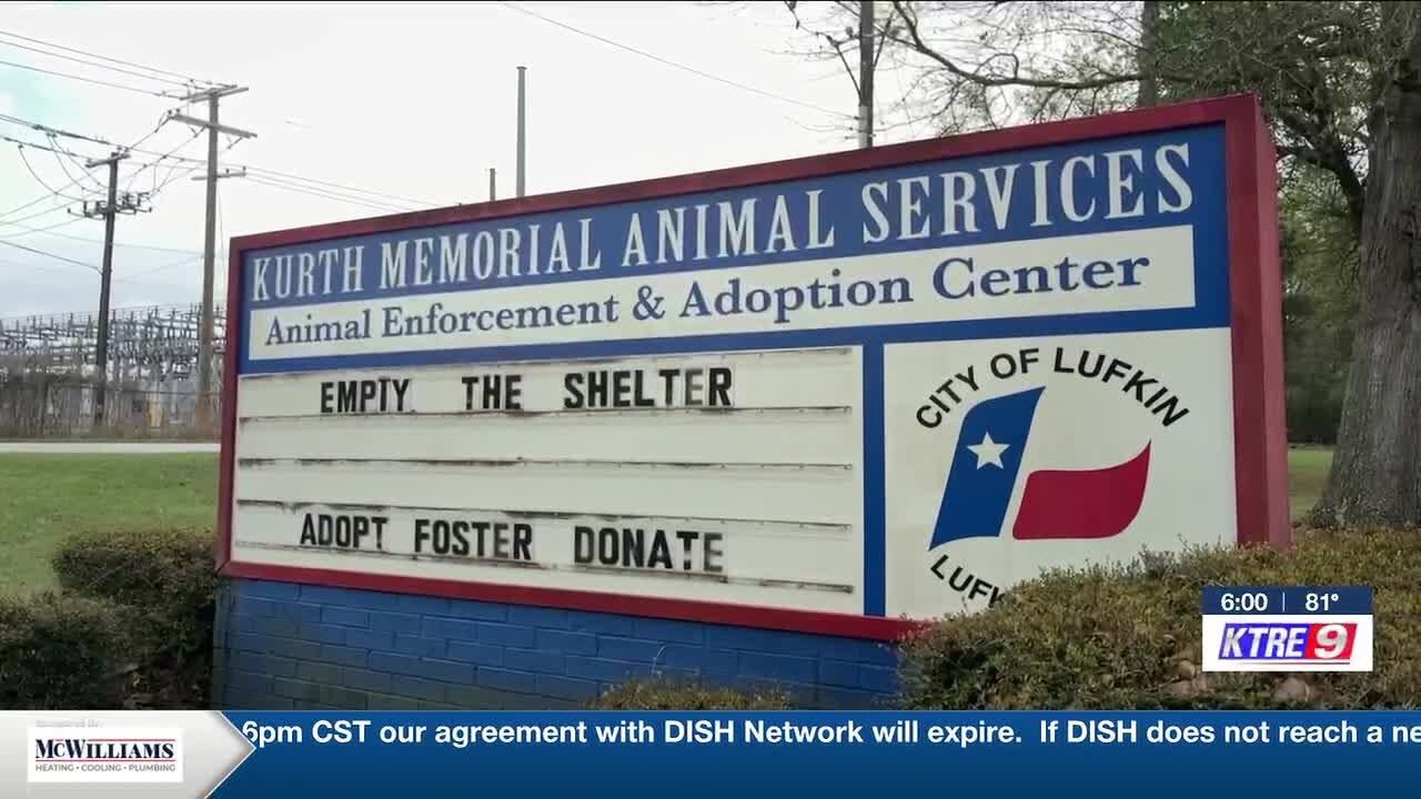 Kurth Memorial still housing more than 100 dogs despite adoption push