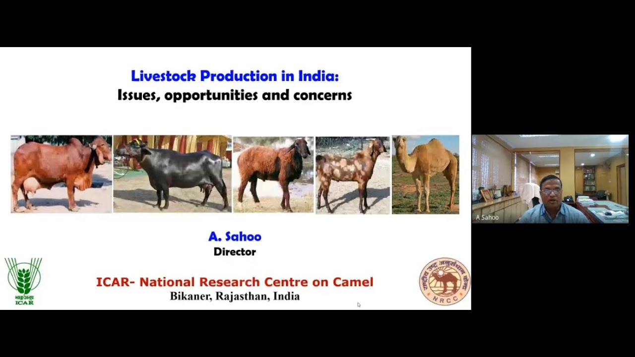 Status Of Livestock Production in India and Future Prospective