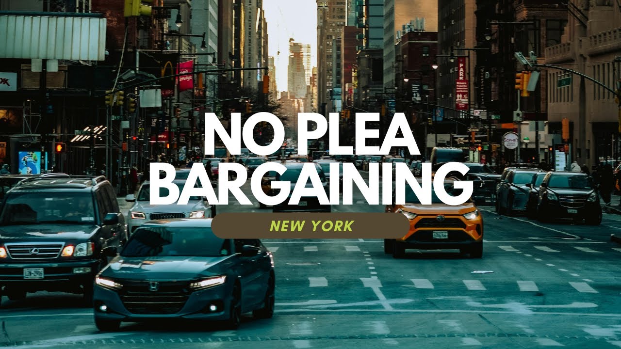 How to Beat a Traffic Ticket in New York❗️| 2025 Rules | American Moves