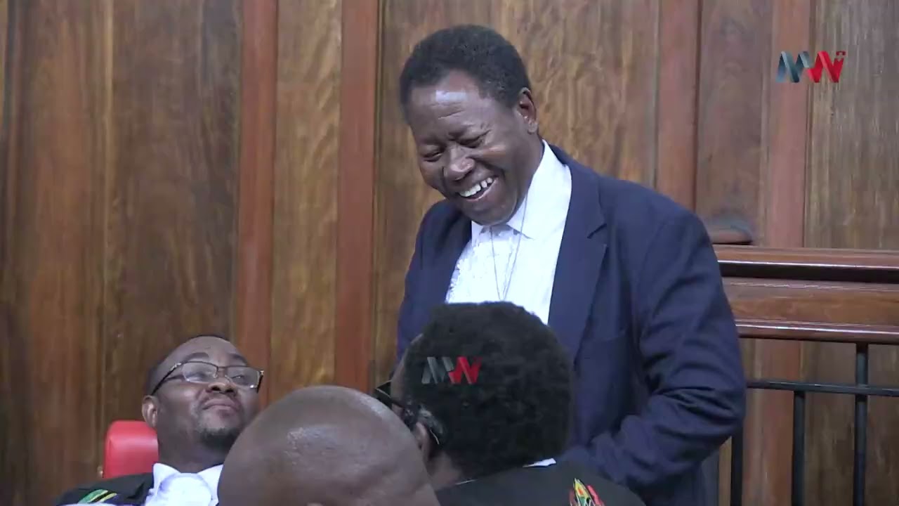 WAKILI WA LISSU AKISHANGAA KIZIMBA KIPYA, AMHOJI WAKILI WA SERIKALI (KATUGA), TAZAMA MAZITO