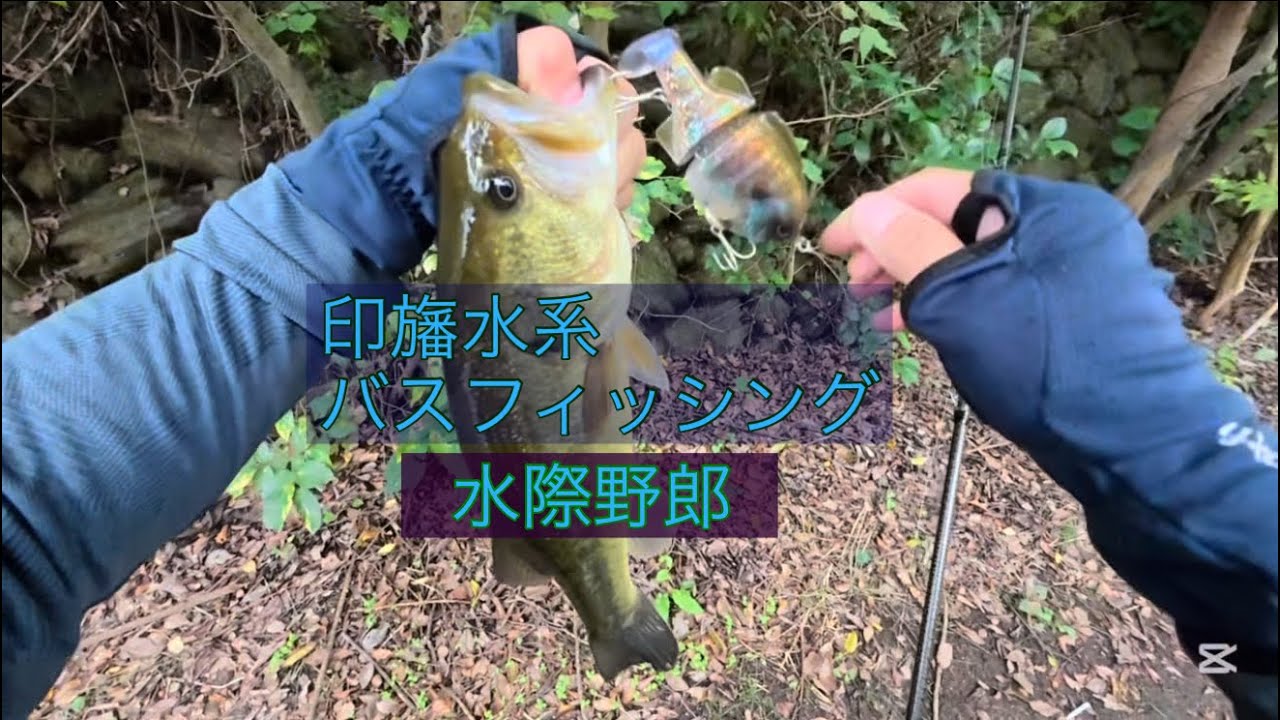 秋のバスフィッシング【印旛水系】先ずは、いつものアレから。#バスフィッシング #印旛沼#ルアー
