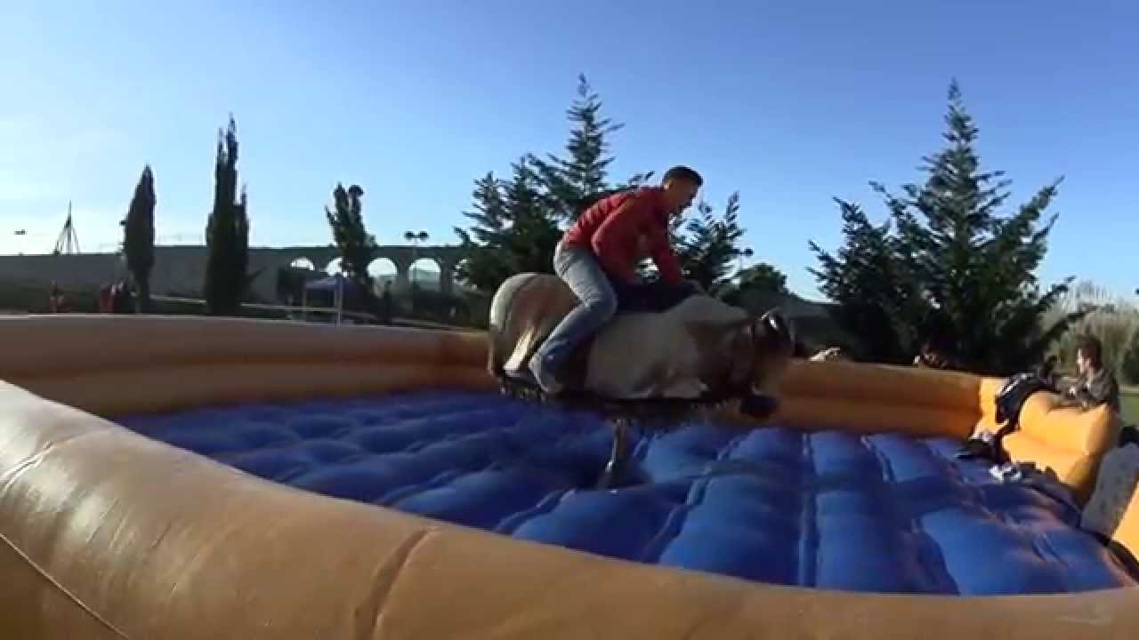 ESEIG dia desportivo