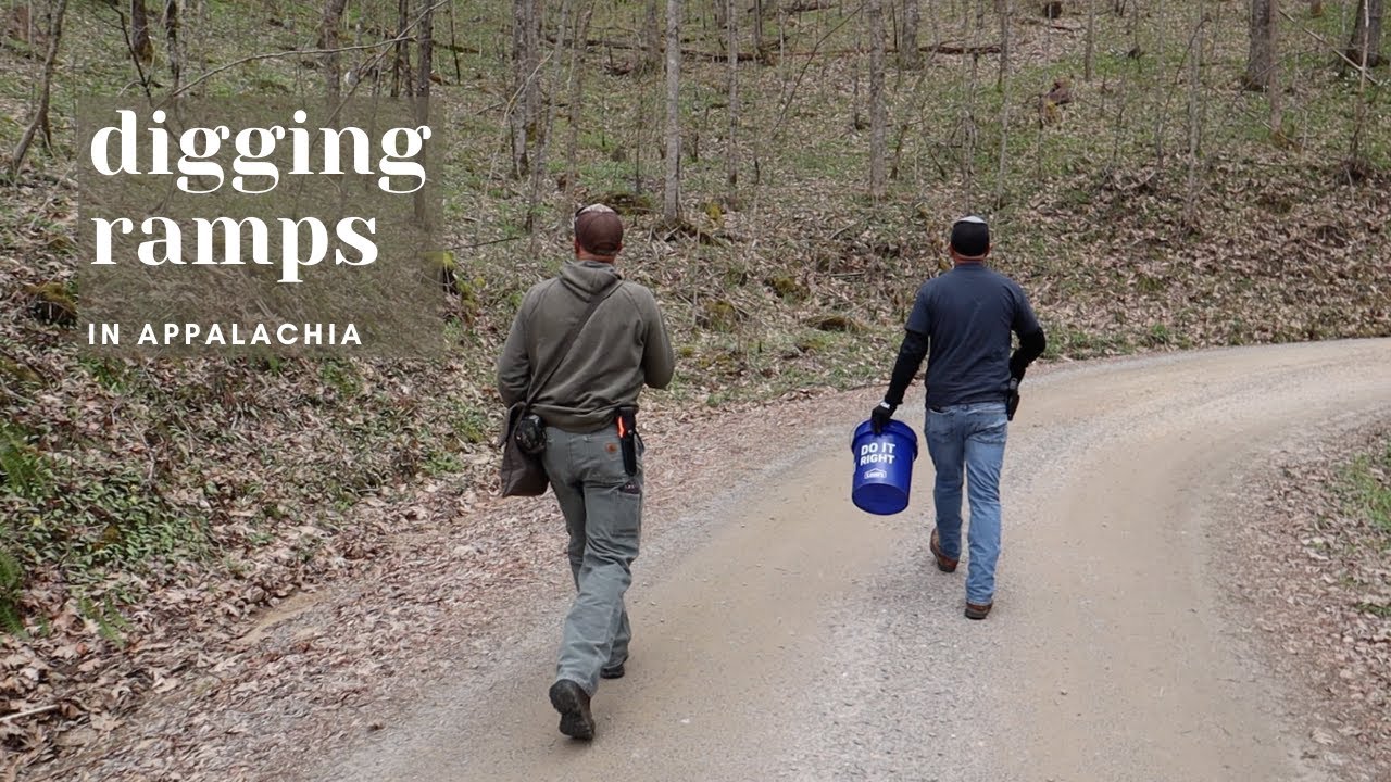 Digging Ramps in Appalachia
