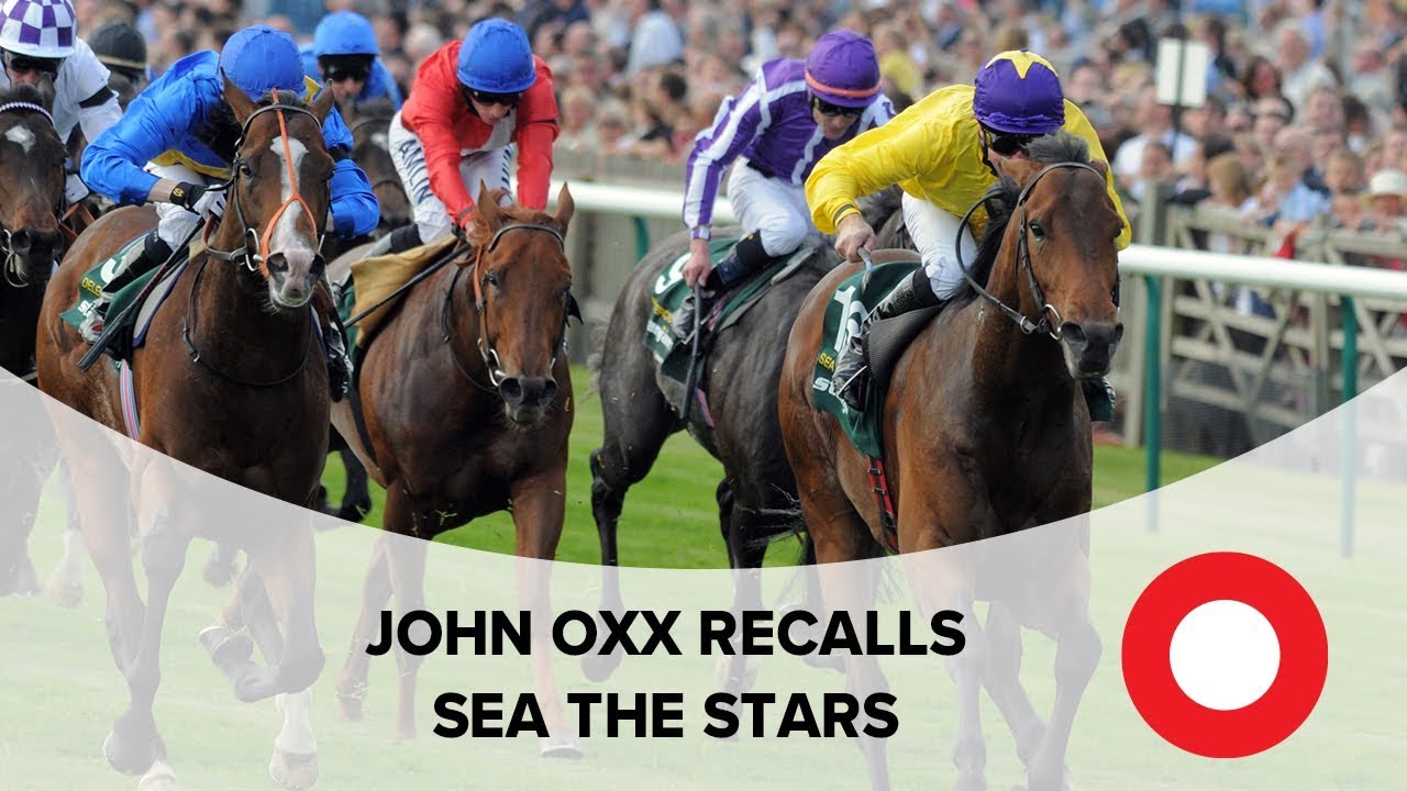'In 100 years you don't have many like that' - John Oxx recalls Sea The Stars