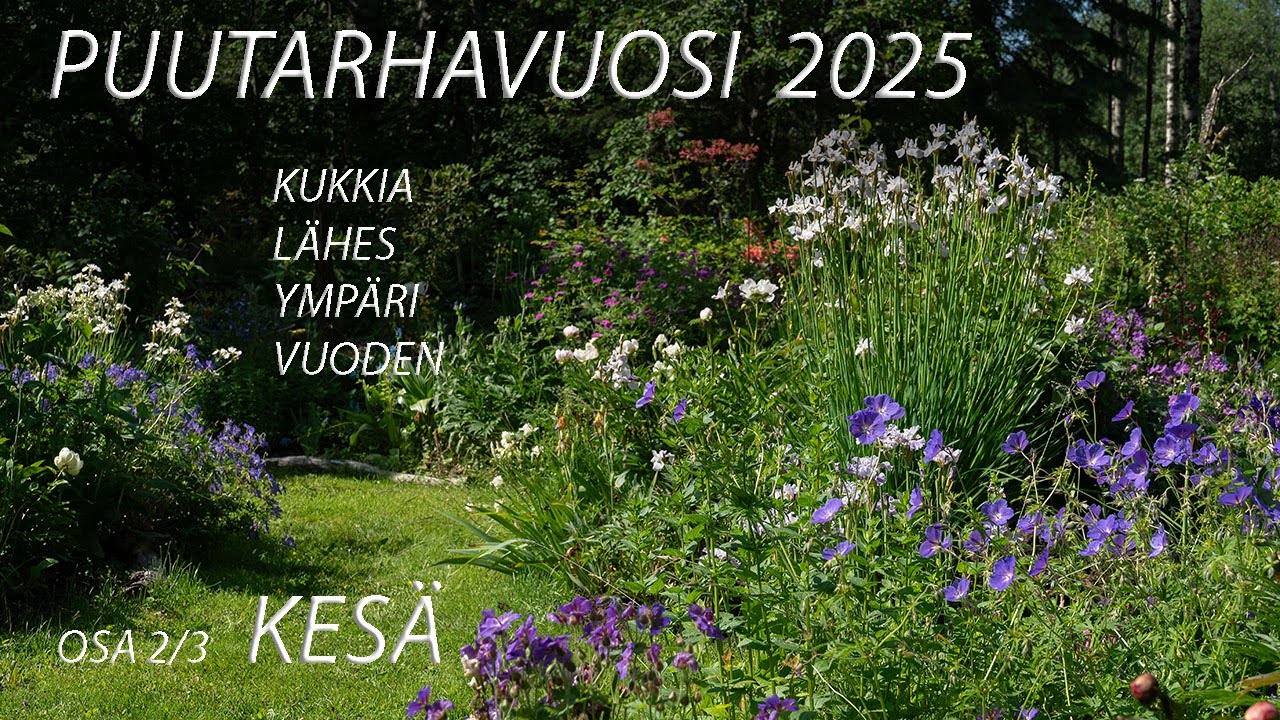 Puutarhavuosi 2025 - Kukkia lähes ympäri vuoden  Osa 2/3 Kesä