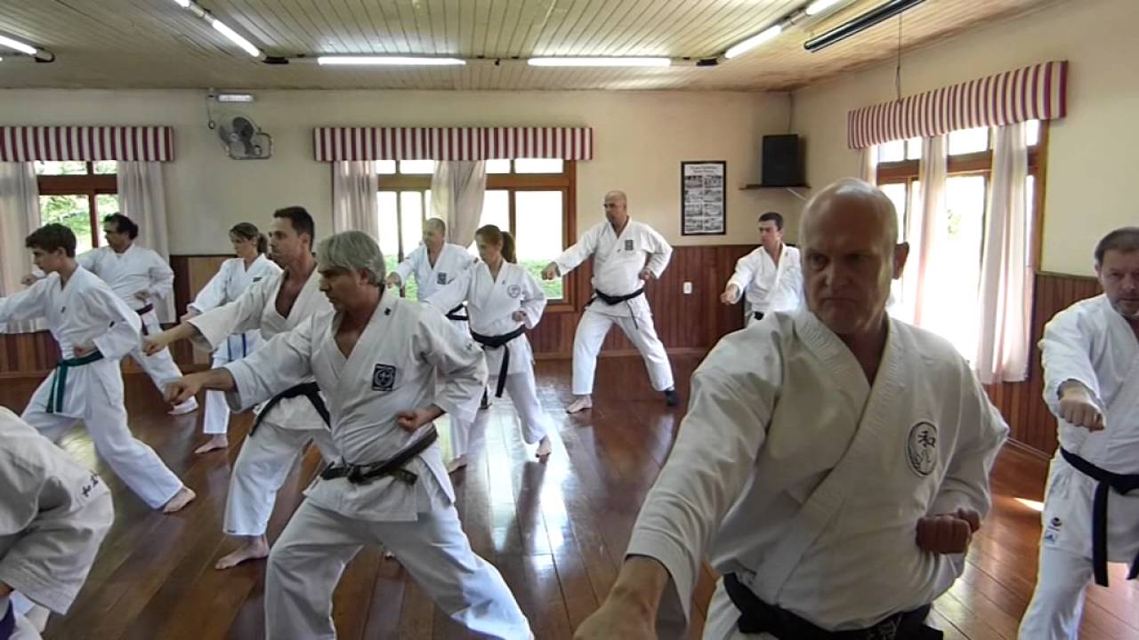 Karate Wado Ryu - Curso técnico - Gramado / RS (07/11/2015)  - com Sérgio Takamatsu-Sensei (7º Dan)
