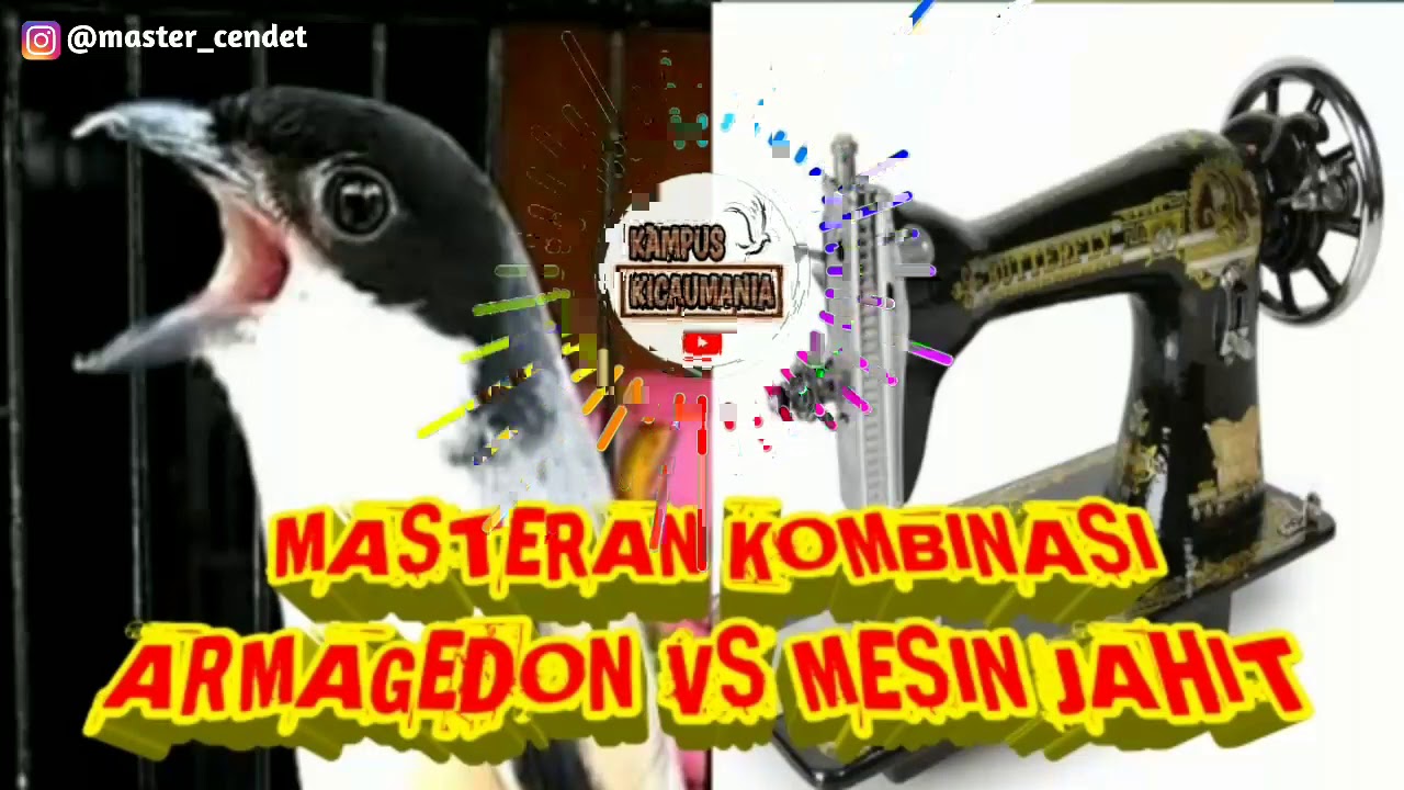 MASTERAN SPEED ARMAGEDON VS MESIN JAHIT RAPAT TERBARU !!MUDAH DITIRU