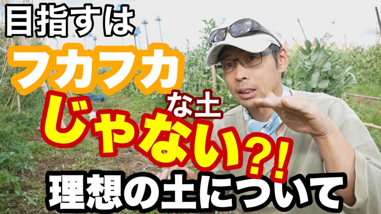 【自然農の土作り】理想の土は『フカフカ』じゃなく『しっかり』した土？2021年5月2日