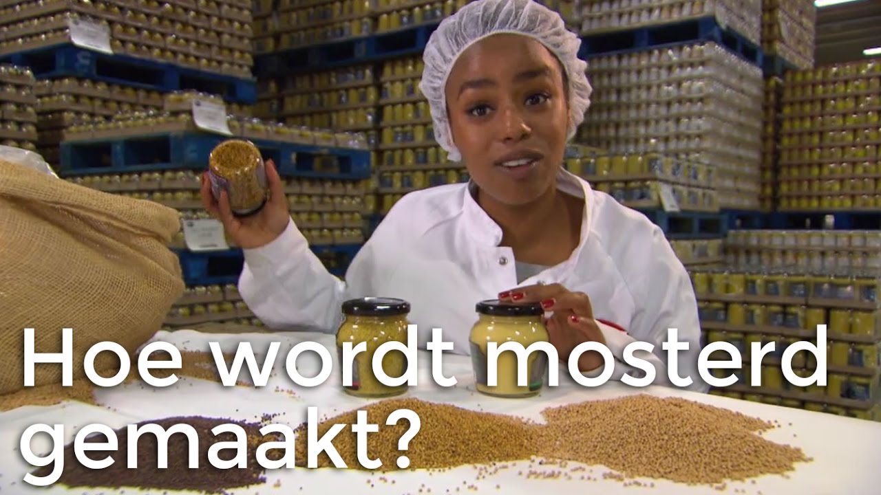 Doen Ze Dat Zo?: Hoe wordt mosterd gemaakt? | Het Klokhuis
