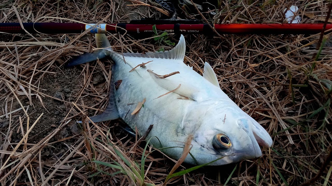 Mancing Pakai Teknik Ini Menolak Boncos