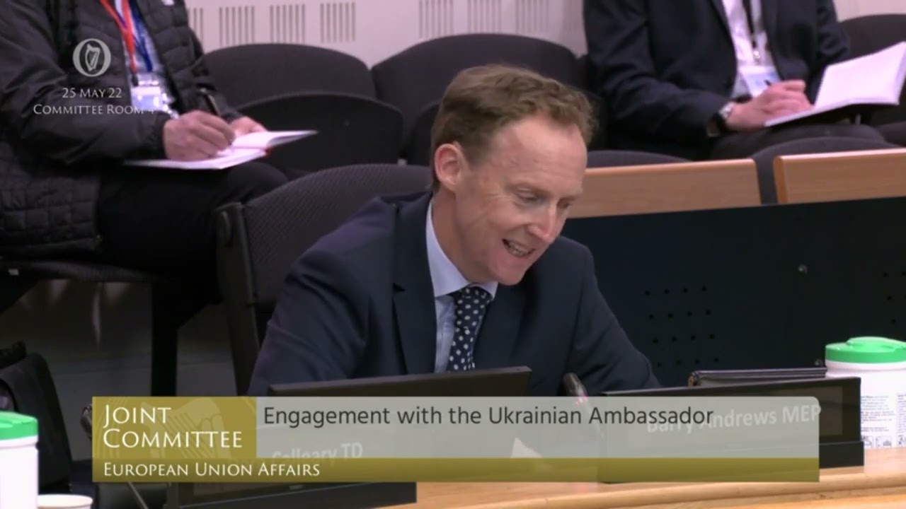 Barry Andrews MEP: Dail committee on European Affairs