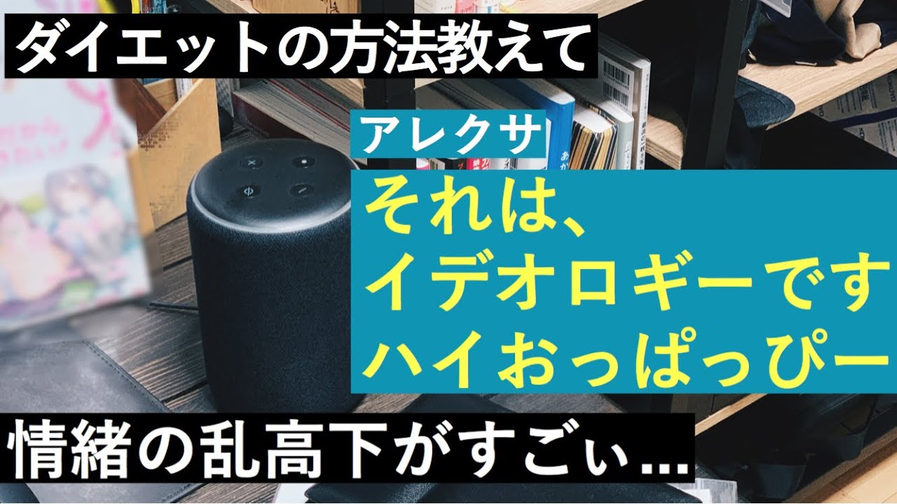 No.21 撮影中に映ってはいけないものが映ってしまった件【お節介アレクサ】