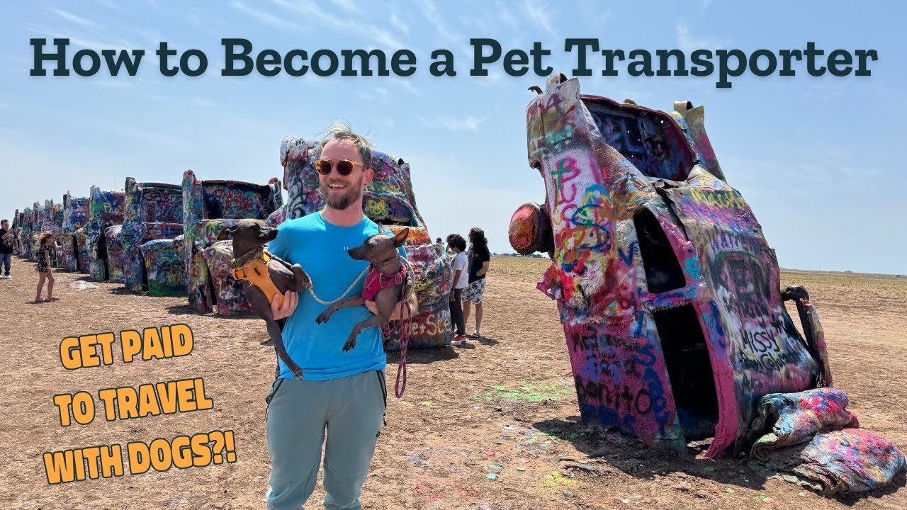 EVERYTHING You Need to Know to Become a Pet Transporter! | Georgia to California w/ Pro Transporter