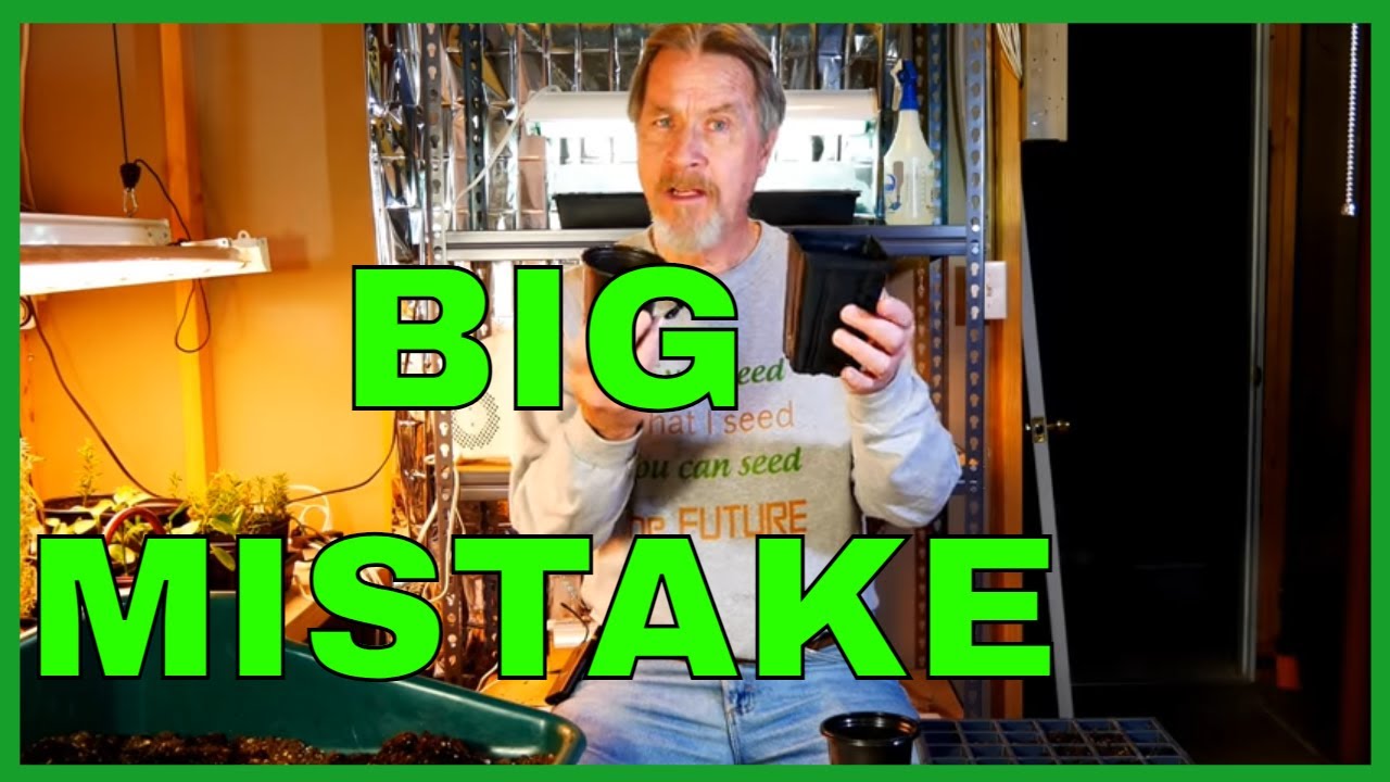 10 BIG Mistakes Growing Seedlings Indoors