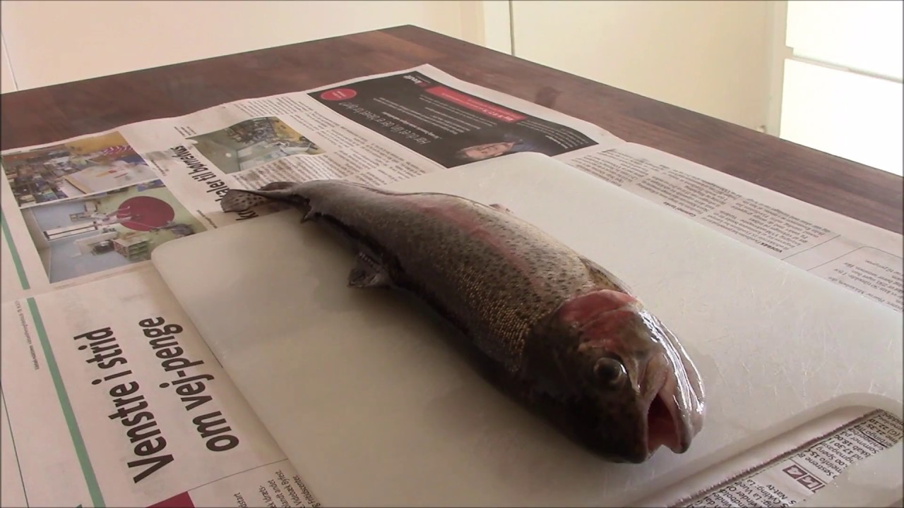 Filetering af &oslash;rred - God metode