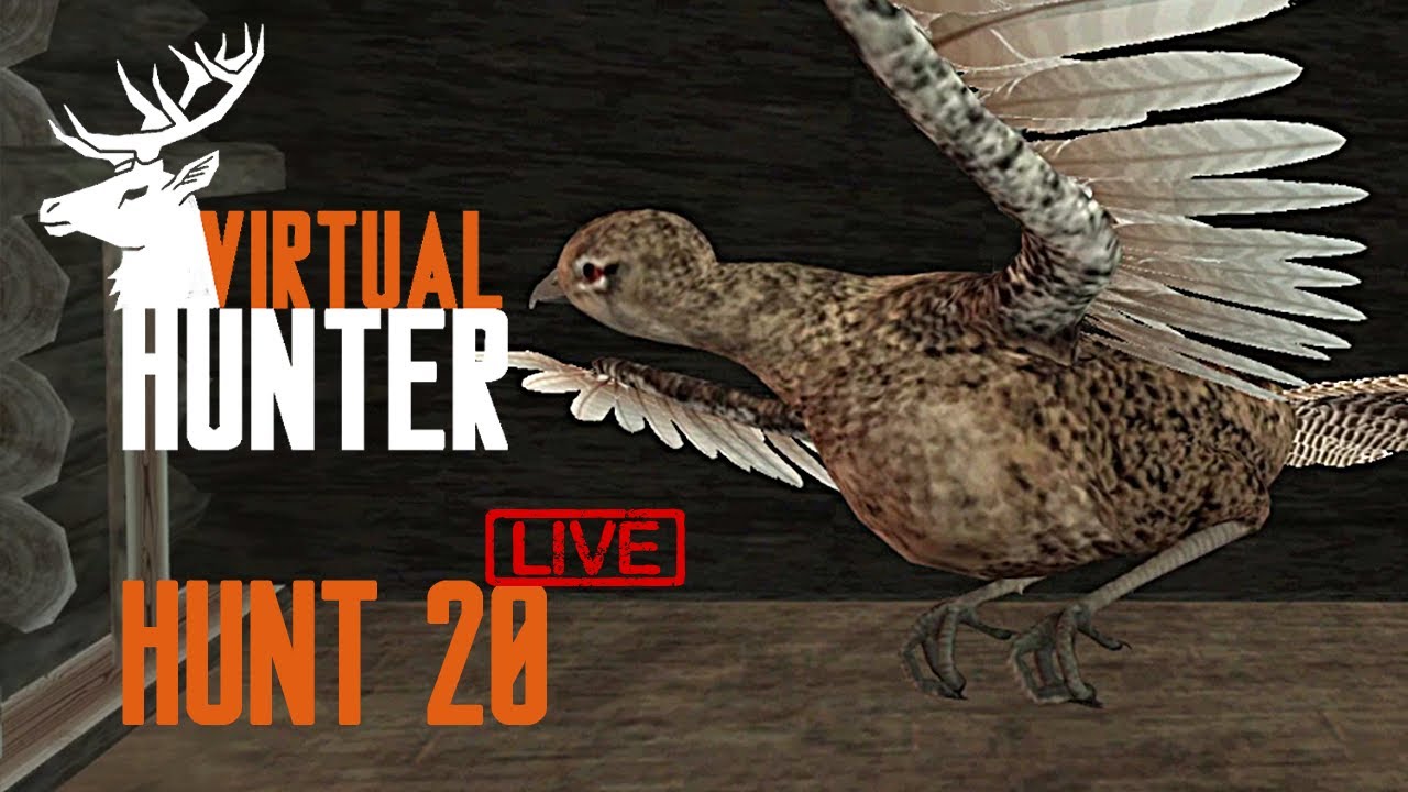 🔴 Virtual Hunter VR - Pheasant Hunt, Live