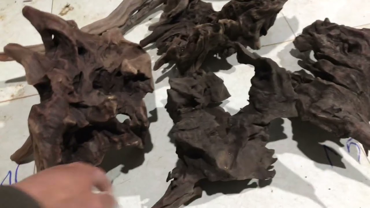 24/1 lũa dổi chia sẽ ae.lh 0376394403